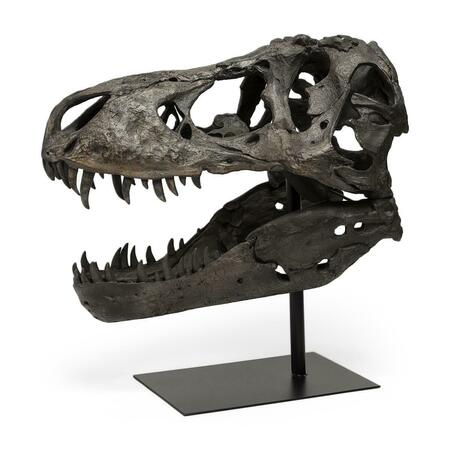 PALACEDESIGNS 20 x 11 x 19 in. Authentic Replica Brown T Rex Skull Sculpture PA3104761